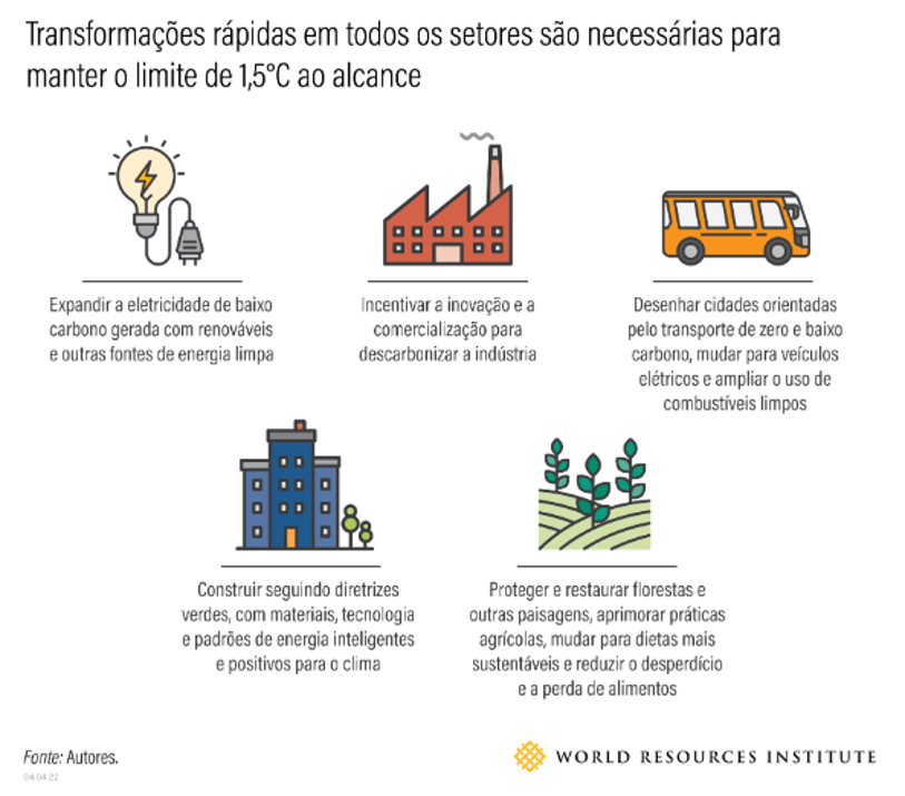 CIPÓ at COP 27: interview to GloboNews - Plataforma CIPÓ