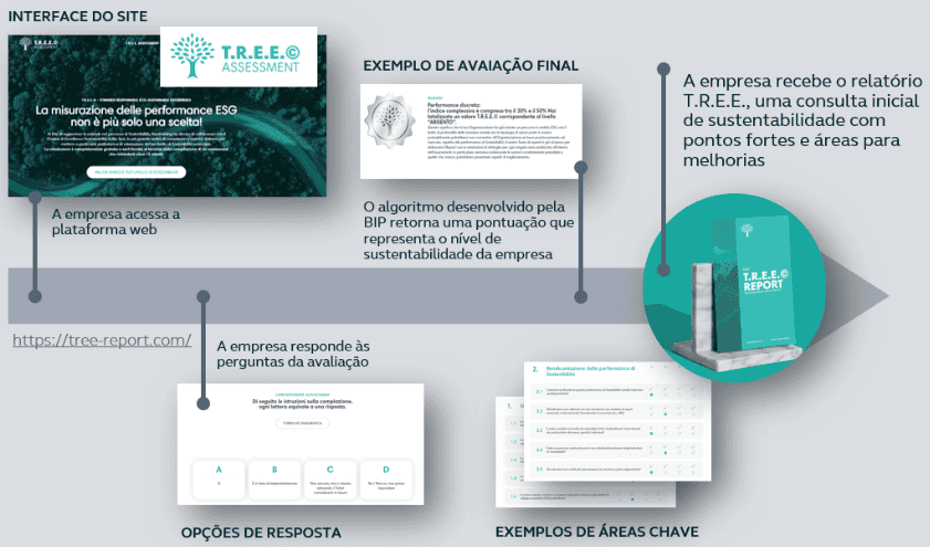 Interface do site da solução proprietária da BIP Brasil: T.R.E.E. Report. Inovação sustentável na BIP Brasil.